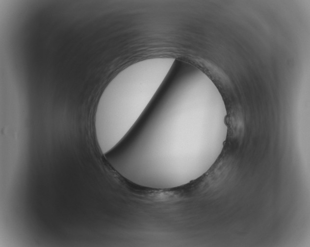 X0000102290379200807251006