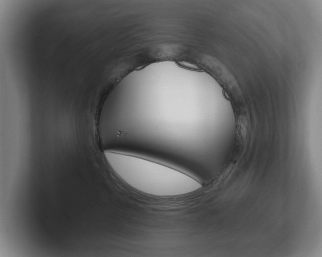 X0000102290380200807251006