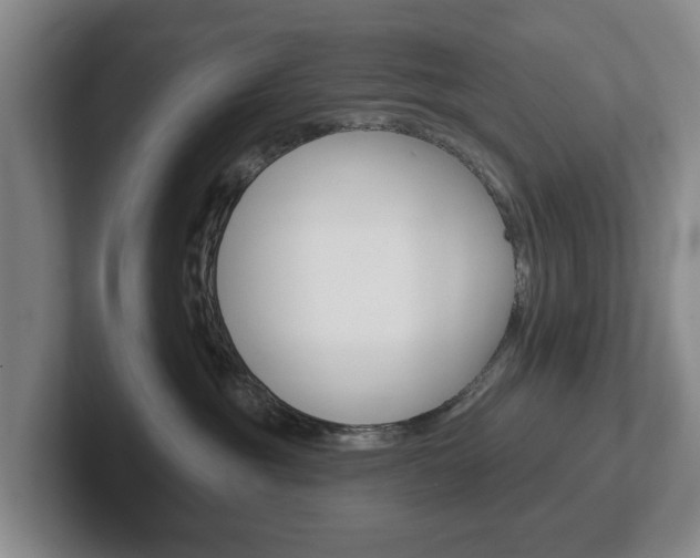 X0000102290381200807251006