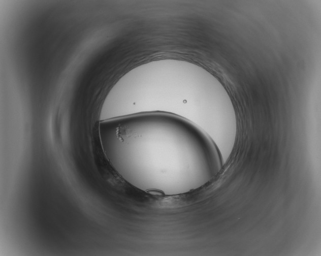 X0000102290382200807251006