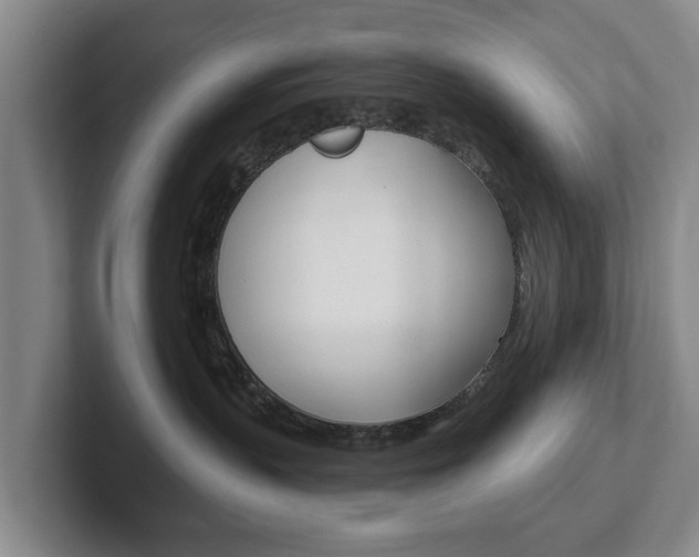 X0000102290383200807251006