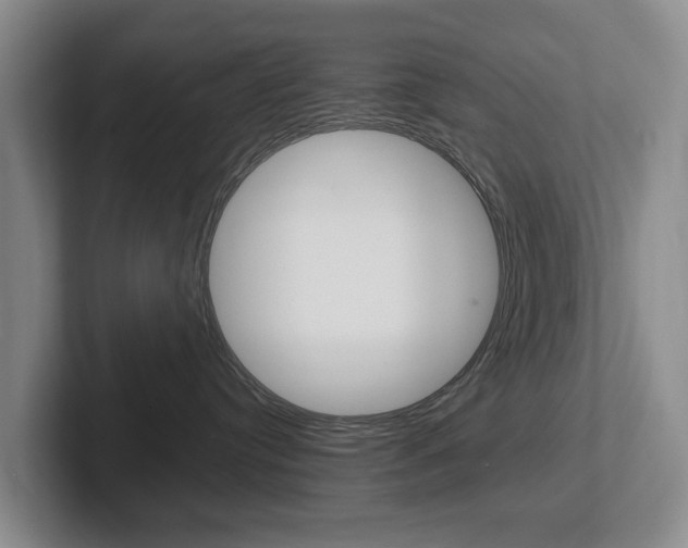 X0000102290384200807251006