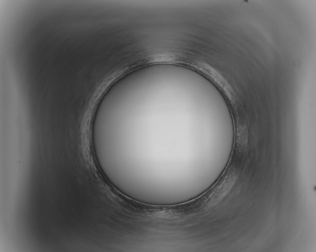 X0000102290385200807251005