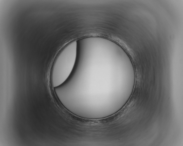 X0000102290386200807251005
