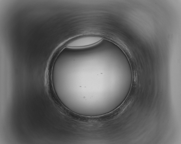 X0000102290388200807251005