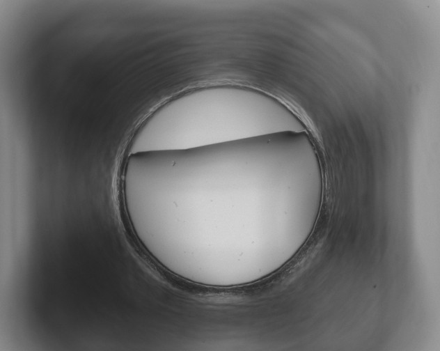 X0000102290389200807251005