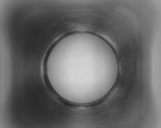 X0000102290390200807251005