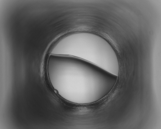 X0000102290392200807251005