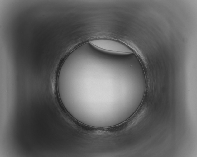 X0000102290393200807251005