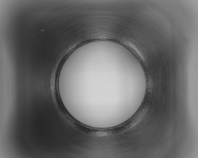 X0000102290394200807251005