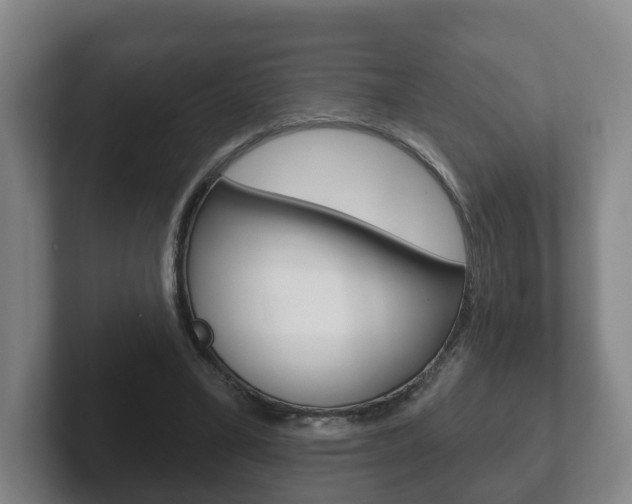 X0000102290395200807251005