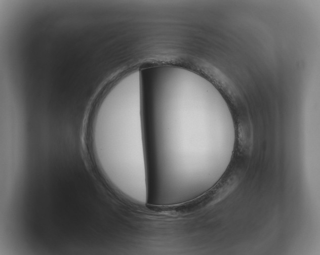 X0000102290396200807251005