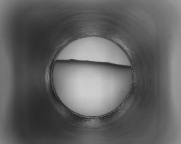 X0000102290398200807251005