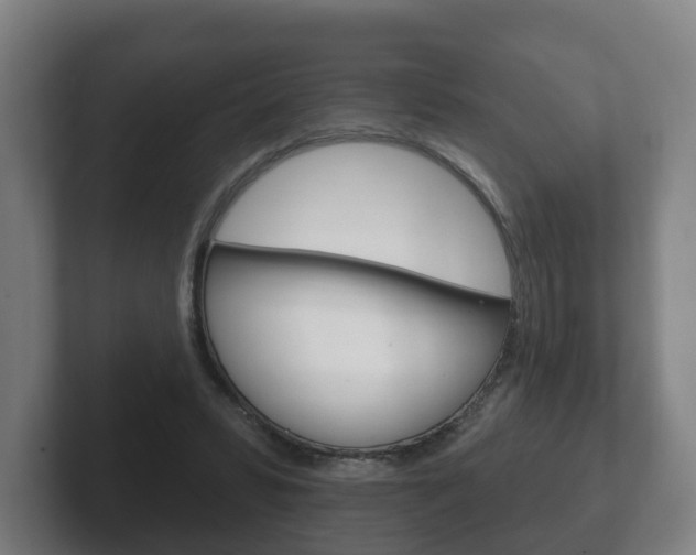 X0000102290399200807251005
