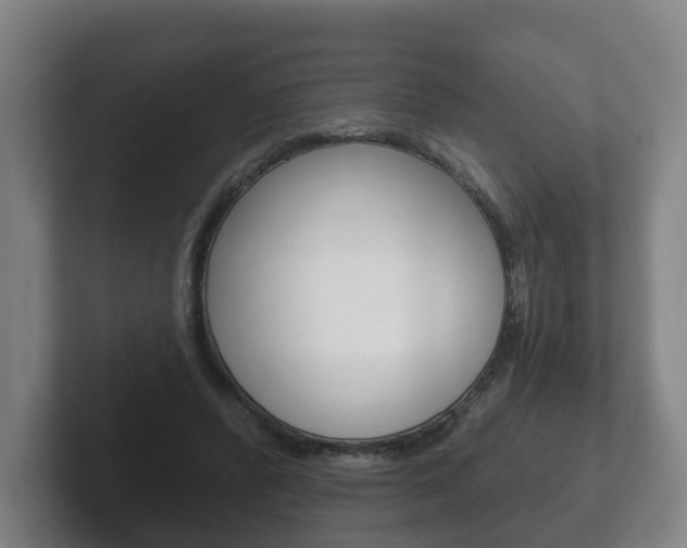 X0000102290400200807251005