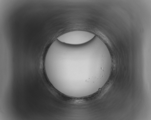 X0000102290401200807251005