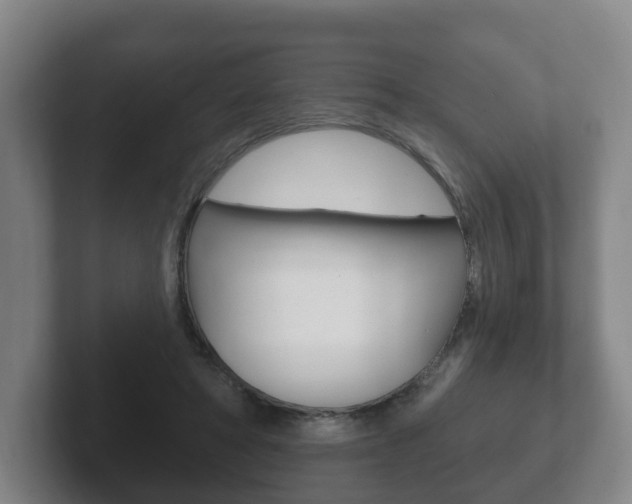 X0000102290402200807251005