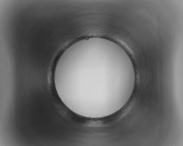 X0000102290403200807251005