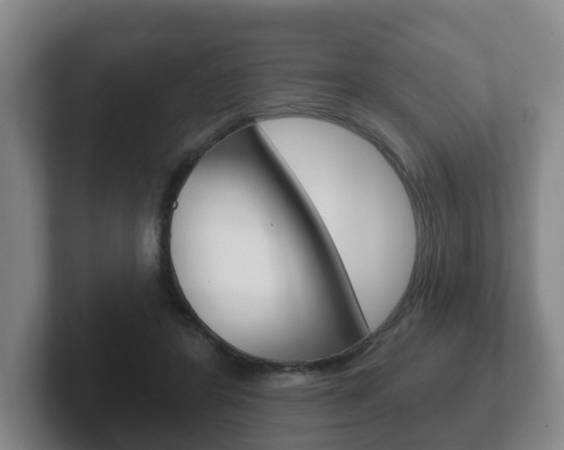 X0000102290404200807251005