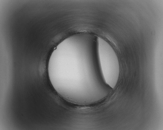 X0000102290407200807251005