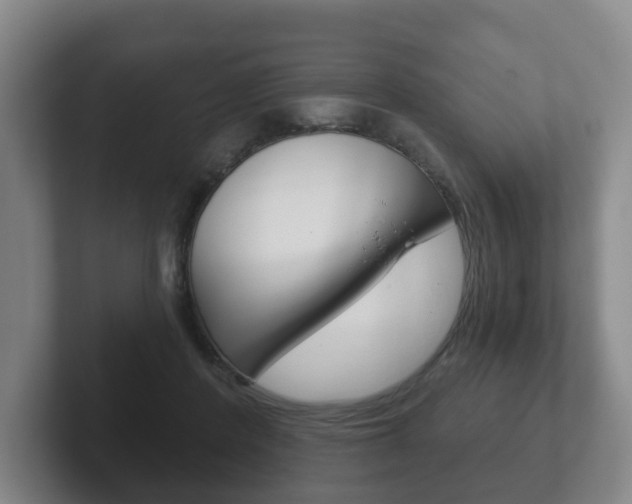 X0000102290408200807251005