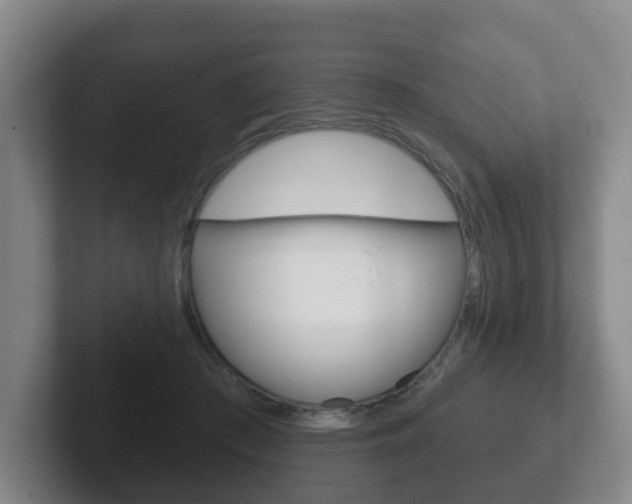 X0000102290409200807251005