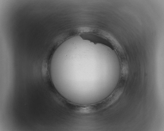 X0000102290411200807251005