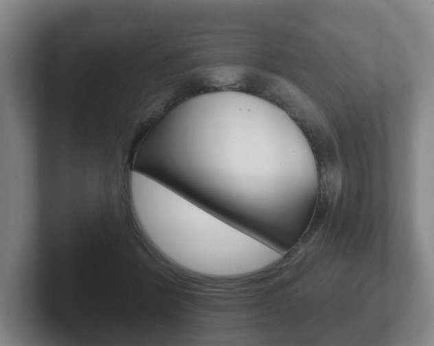 X0000102290412200807251005
