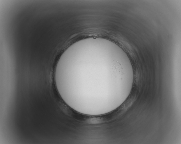 X0000102290413200807251005