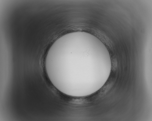 X0000102290414200807251005