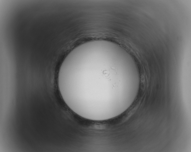 X0000102290416200807251005