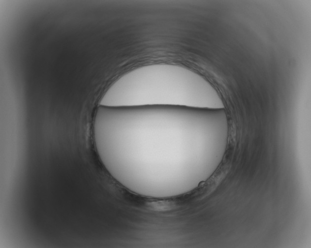 X0000102290417200807251005