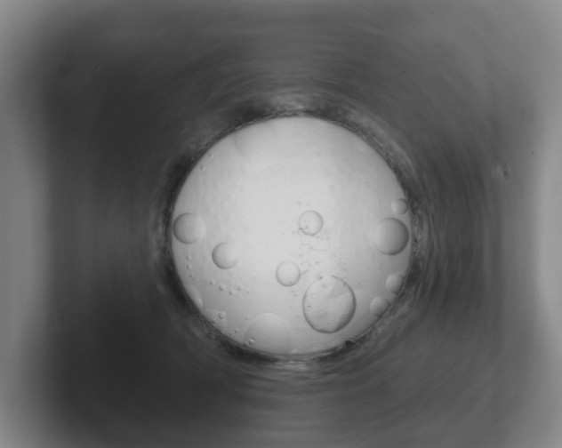 X0000102290418200807251005