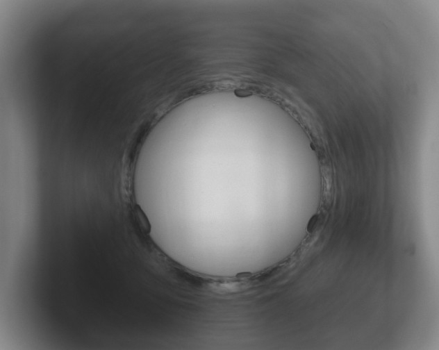 X0000102290419200807251005