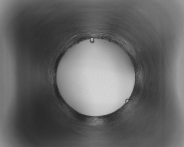 X0000102290421200807251005