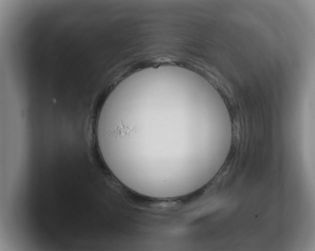 X0000102290422200807251005