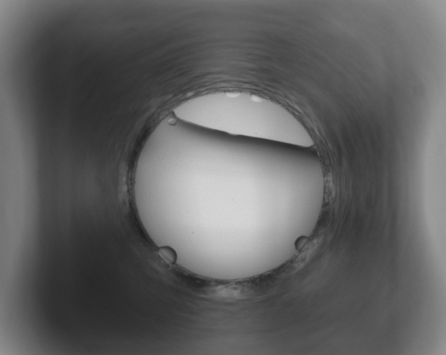 X0000102290423200807251005