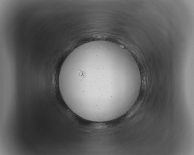 X0000102290424200807251005