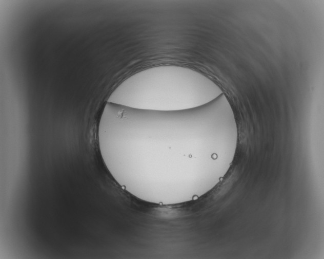 X0000102290425200807251005