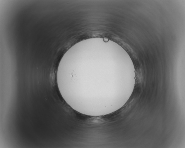 X0000102290427200807251005