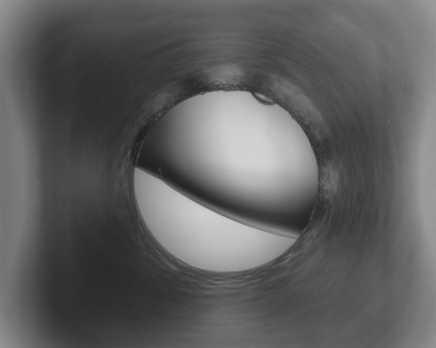 X0000102290428200807251005