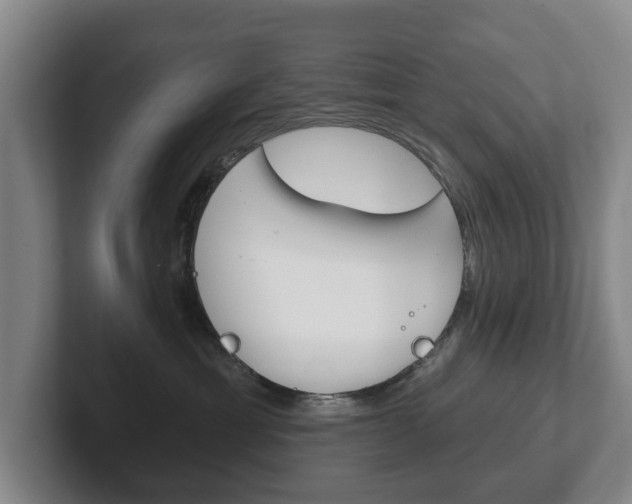 X0000102290429200807251005