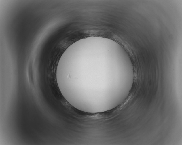 X0000102290430200807251005
