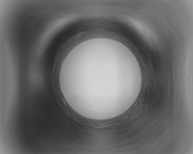 X0000102290431200807251005