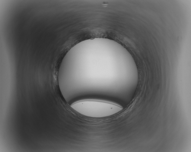 X0000102290432200807251005