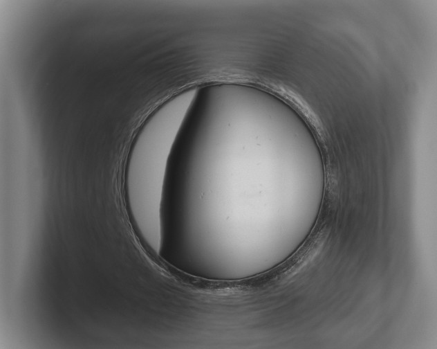 X0000102290433200807251004