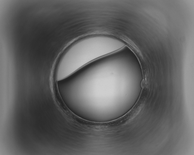 X0000102290436200807251004