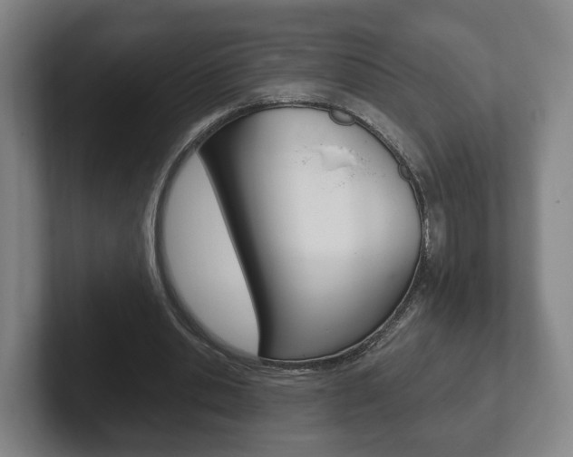 X0000102290438200807251004