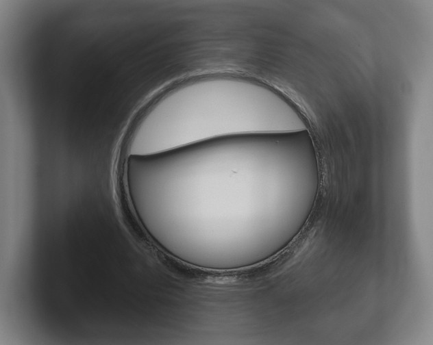 X0000102290440200807251004