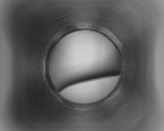 X0000102290441200807251004